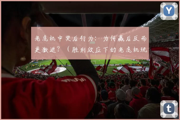 老虎机中奖后行为：为何赢后反而更激进？（胜利效应下的老虎机玩家：为何中奖后风险偏好上升？）