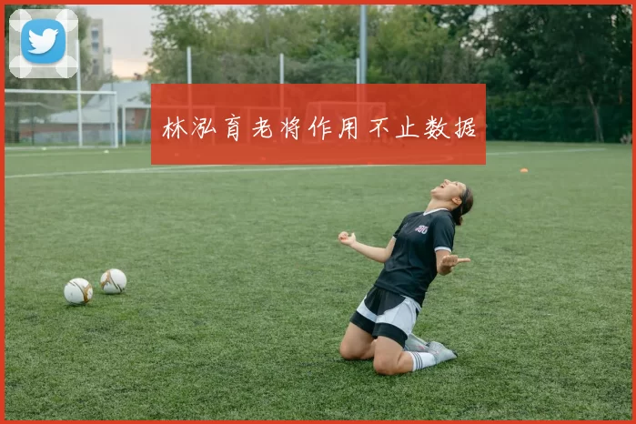 林泓育老将作用不止数据