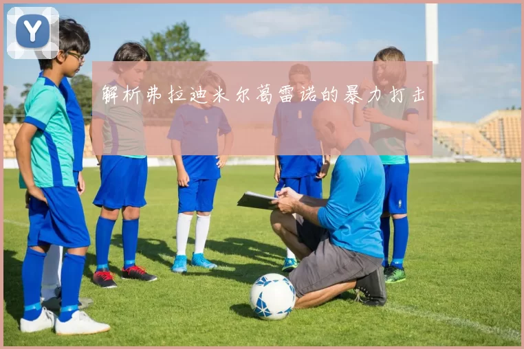 解析弗拉迪米尔葛雷诺的暴力打击