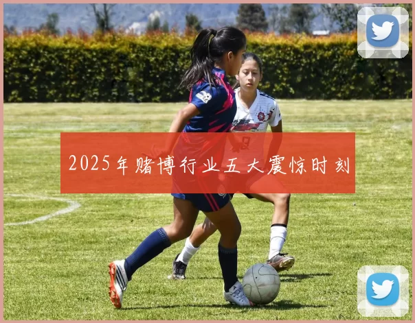 2025年赌博行业五大震惊时刻